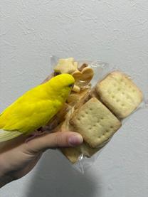 �o�����^...