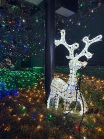 �Y�킾�˂�??