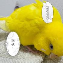 �D������...