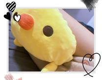 �u���O�摜
