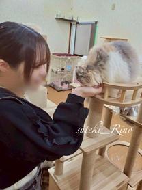 ����ł�����