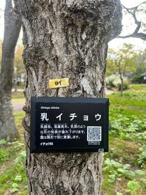 �u���O�摜