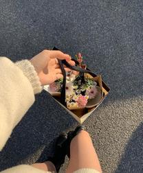 �Ȃ񂩂�邢��