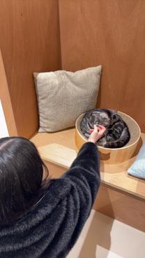 [����]fro...