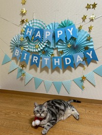 �u���O�摜