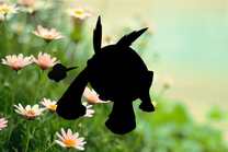 �u���O�摜