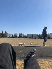 �u���O�摜