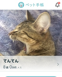 �u���O�摜