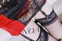 �u���O�摜