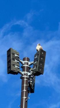 �����܂�...