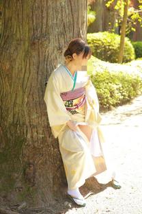 �u���O�摜