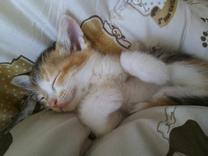 [����]fro...