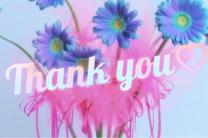 31��GEM���w������?