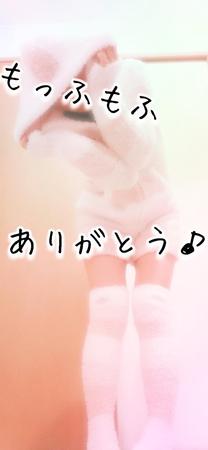 �������y���������ł�(...