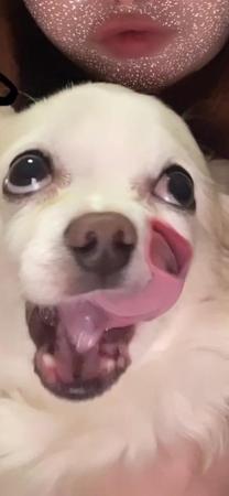 o