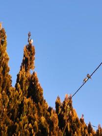 �z�X�����p?