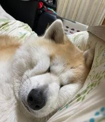 [����]fro...