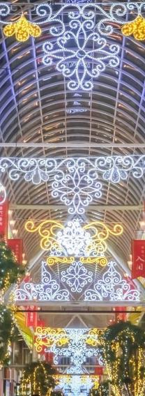 24����(?-?)�^