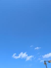 ���肪�Ƃ�