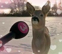 ??????