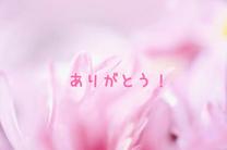 1/14���f�B��