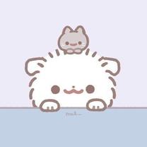 29���o��...