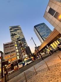 �Z���̖ڃ��l�b�T���X