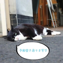 �u���O�摜