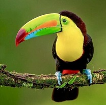 ���A����