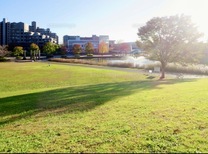 �u���O�摜