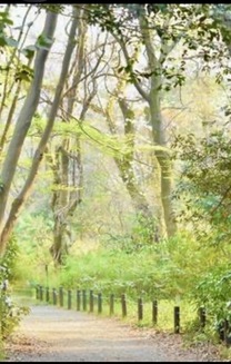 �u���O�摜