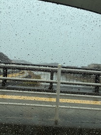 �ʋΒ��ł��`??