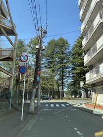 �u���O�摜