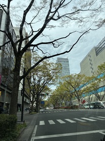 �u���O�摜