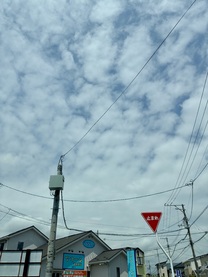 �u���O�摜