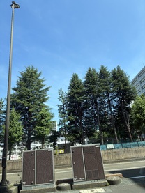 �u���O�摜