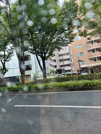 �u���O�摜