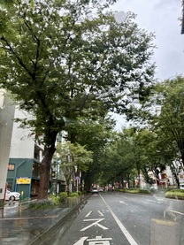�u���O�摜