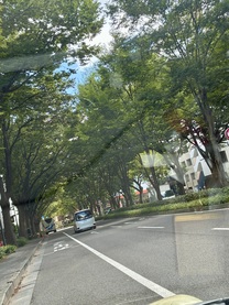 �u���O�摜