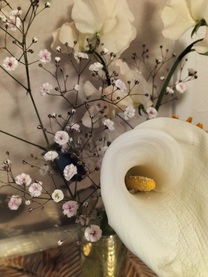 ���ε����β���