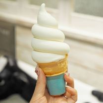 �u���O�摜