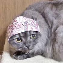 �u���O�摜