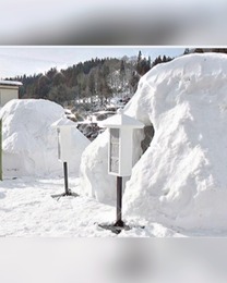 �u���O�摜