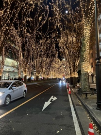 �u���O�摜