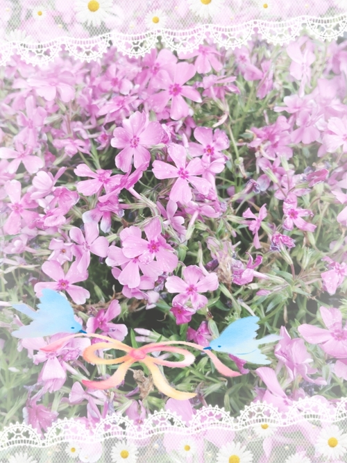 ＃お題：小さかった頃の夢は何？その夢は叶った？の画像