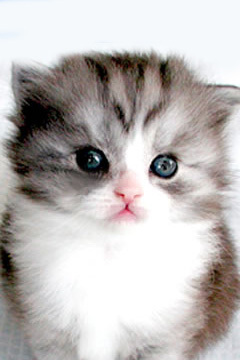 �e�X�g�������e�X�g�������e�X�g�������e�X�g�������e�X�g�������e�X�g������