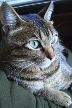 ���̎q�̃u���O�L��