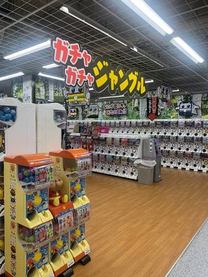 �u���O�摜