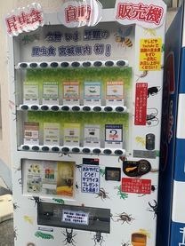 �u���O�摜