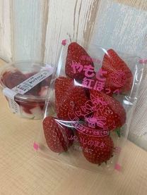 �u���O�摜
